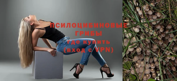 ешки Абинск