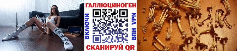 купить закладку  Советская Гавань  Псилоцибиновые грибы MAGIC MUSHROOMS 